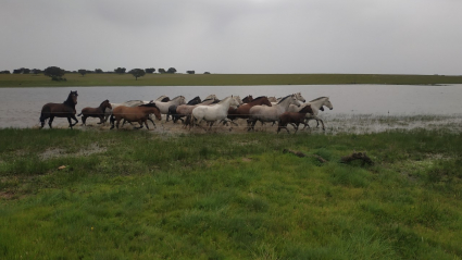 EXTREMADURA A CABALLO