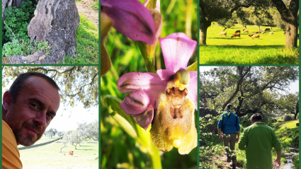 Collage de fotografías recogidas en la Pimienta