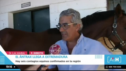 criador de caballo en La Haba