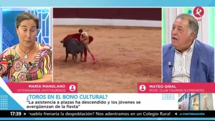 El bono cultural y los toros