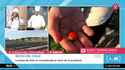 Baya del valle
