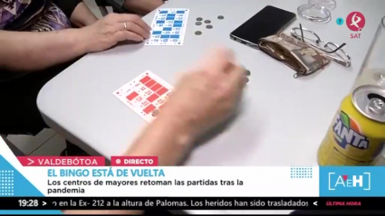 Bingo