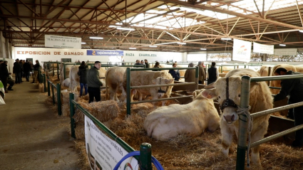 Feria Agroganadera de Trujillo