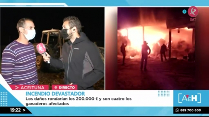 Unas naves en Aceituna arden 