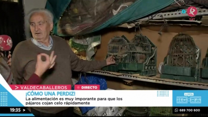 El abuelo perdigonero