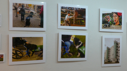 Imágenes de la exposición "Sin Barreras"