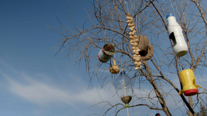 Renato hace comederos para pájaros con materiales reutilizados