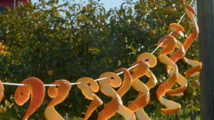Qué hacer con las cáscaras de naranja