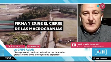 Los casos de gripe aviar