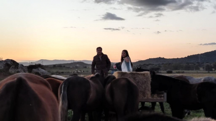 La preocupación en el campo
