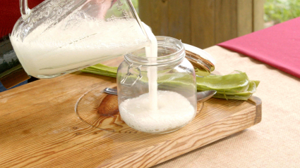 Gel aloe vera