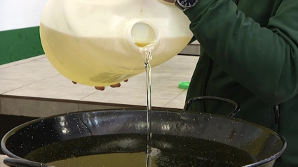 El aceite de girasol en Extremadura