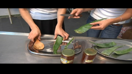 aloe miel