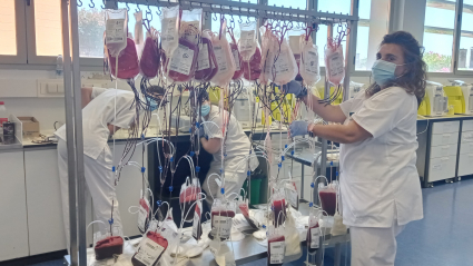Técnico de laboratorio del Banco de Sangre de Extremadura