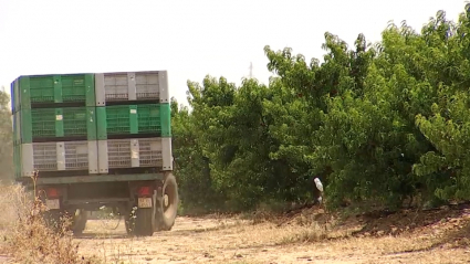 Un camión se retira de una explotación agrícola