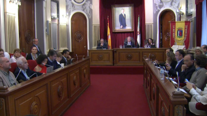 Pleno extraordinario sobre Ifeba