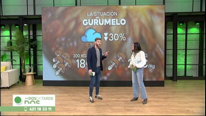 dos de tarde 17 de marzo