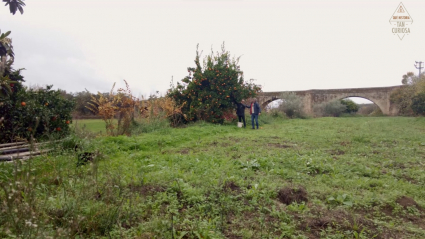 huerto_que-historia-tan-curiosa