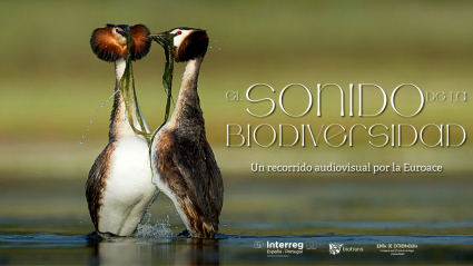 libro sonidos de la dehesa