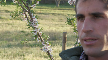 Rafael Cerro Torero Campo Animales Tierra de Toros Canal Extremadura