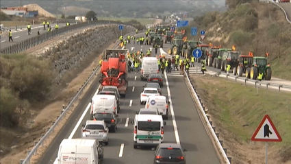 Grupo de agricultores cortando la EX-A1