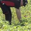 Trabajo en el campo