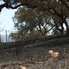 incendios