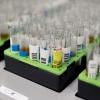 Probetas de pruebas PCR en el Laboratorio de Microbiología del Hospital público Gregorio Marañón