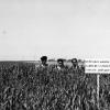 Estudios Agrarios