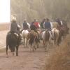 Caballistas rumbo a Guadalupe