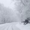 Carretera con nieve en la provincia de Cáceres