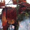 Más de 3.200 personas y 26 dragones participan este martes en el desfile de San Jorge de Cáceres