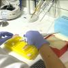Programa MEDEA de farmacogenética