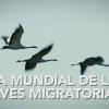 Mérida acoge la celebración del Día Mundial de las Aves Migratorias