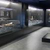 Abre la Sala Tarteso