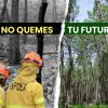 Campaña del INFOEX