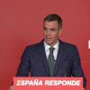Pedro Sánchez: "Las elecciones son cada cuatro años y así seguirá siendo"