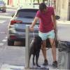 Primer día del aviso especial por ola de calor en Extremadura