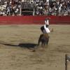 Saltos de recortadores en Coria