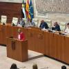 Piedad Álvarez, portavoz del PSOE de Extremadura, en la Asamblea