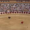 Plaza de toros de Cáceres en una imagen de archivo