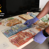 Imágenes de la incautación de dinero en la operación