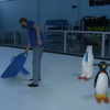 Pista de material sintético parecida al hielo para patinar.