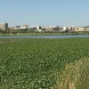 Situación del Río Guadiana en Badajoz