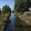 Aparece un hombre ahogado en el canal de Orellana