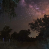 Entre encinas y estrellas, en Fregenal de la Sierra