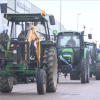 Imagen de la tractorada que ha tenido lugar Miajadas para protestar por los precios del tomate