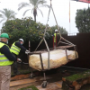 Proceso de extracción del Arca Ferrata para su análisis y restauración