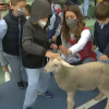 Proyecto educativo del colegio Las Josefinas de Cáceres