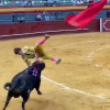 Momento de la cogida